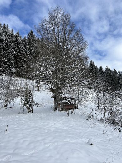 "Sonnenplateau" Grundstück mit Baugenehemigung in Traumlage im Herzen des Oberallgäus – Winterimpression 