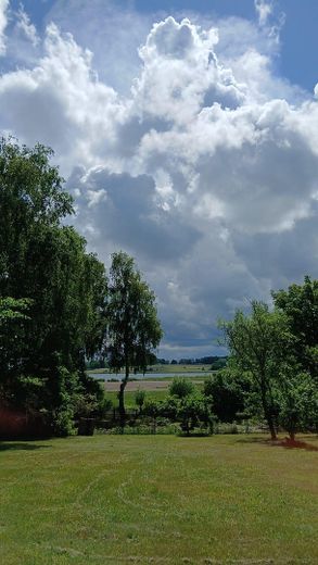 Inselidyll mit Boddenblick: Großes Grundstück & Ferienhaus-Potenzial auf Rügen – Garten mit Boddenblick