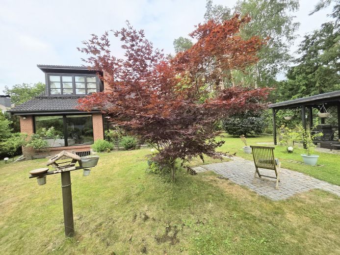 OHNE MAKLER , Provisionsfrei: Idylle am Waldrand in Bleckede mit Kamin und Sauna auf 1100 qm" “ – Foto 7