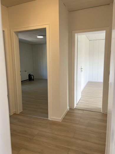 Großzügige Doppelhaushälfte - 3 Wohneinheiten in Wolfsburg direkte Waldlage – Foto 1