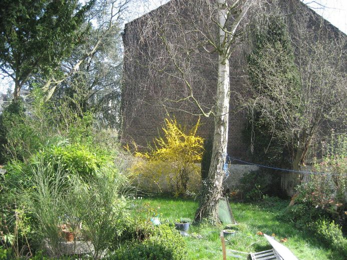 Blick in den Garten