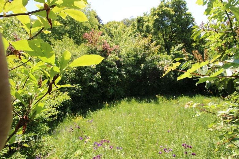 Reihenhaus mit PLUS für Platz – Garten