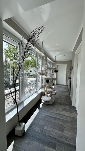 Casa unifamiliare di alta qualità in costruzione massiccia con moderna tecnologia energetica e giardino elegante – Foto 16