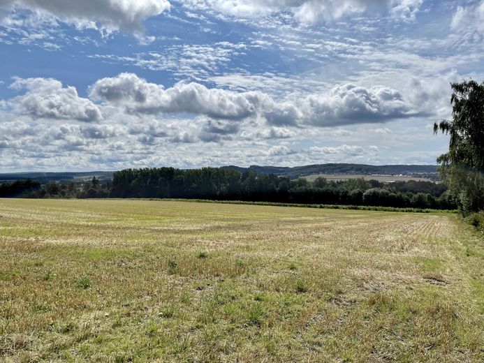 Fröndenberg/Ruhr: Eines der schönsten Grundstücke der Stadt! – Baugrundstück Fröndenberg - Unverbaubare Aussicht