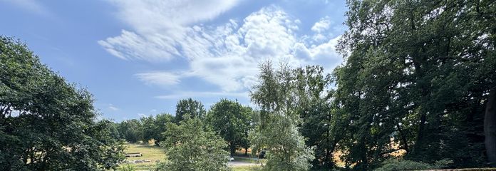 Blick in den Garten