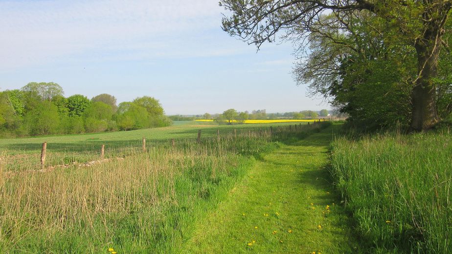 Blick in die Ferne