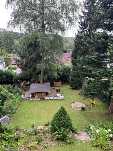 Blick in den Garten