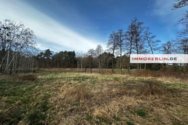 IMMOBERLIN.DE - Großes Wiesen-/Freizeitgrundstück mit Umwidmungspotential für Bauland