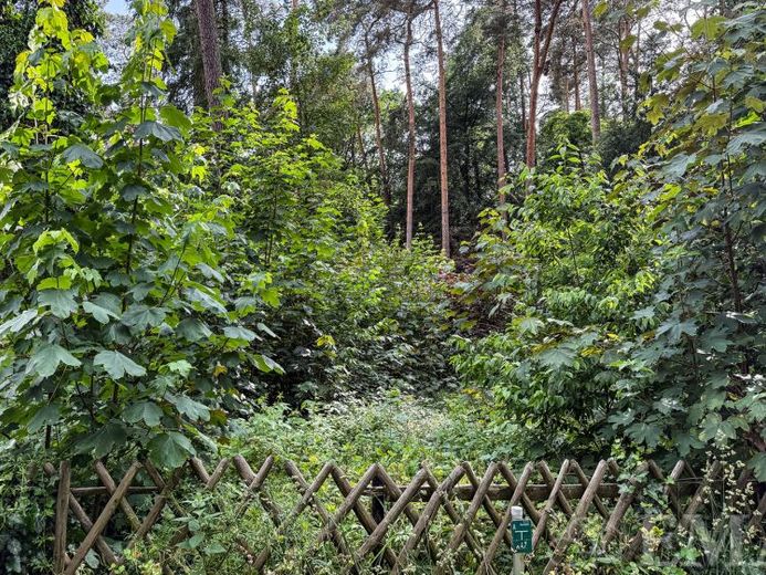 Ihr Traum vom Eigenheim – Baugrundstück in naturnaher Lage -RESERVIERT- – Foto 1