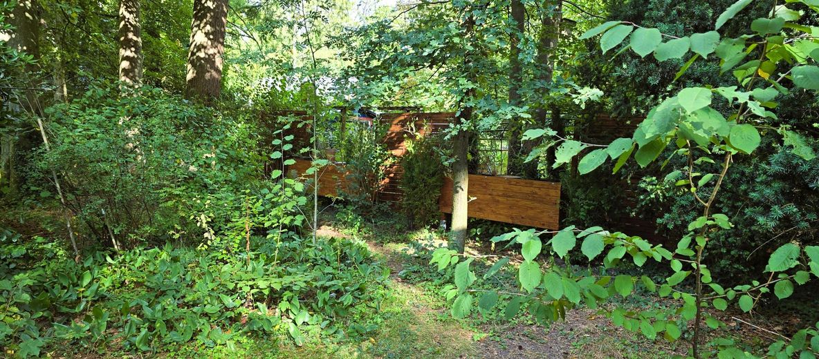 # 3 HÄUSER AUF 5.300 QM² LAND, GROßFAMILIEN-OASE MIT PRAXIS-POTENZIAL,HAMBURGER SPECKGÜRTEL # – Zaun und Pflanzkübel Haupthaus