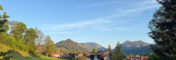 Blick ins Grüne