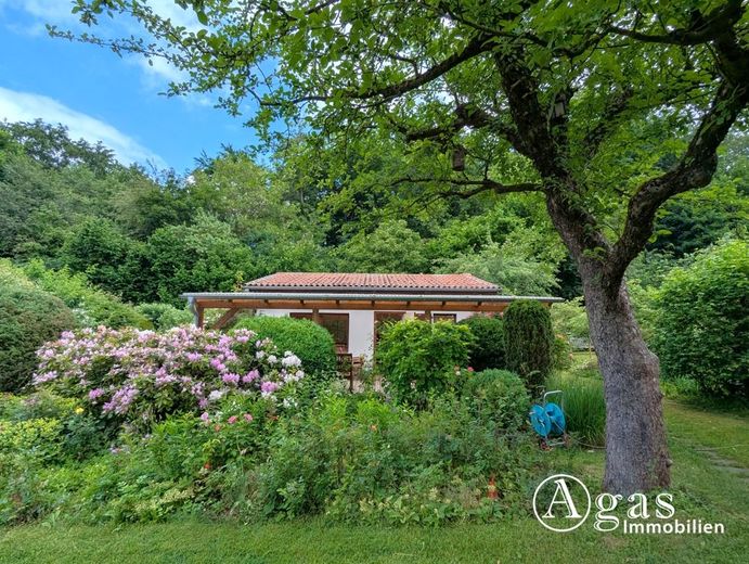 Wohnen im Grünen - Charmantes Haus auf sonnigem Waldgrundstück in Melchow – Garten