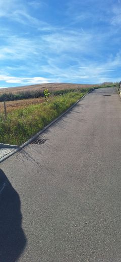 Blick von Bölich in Felder