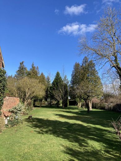 Garten Blick Richtung Norden