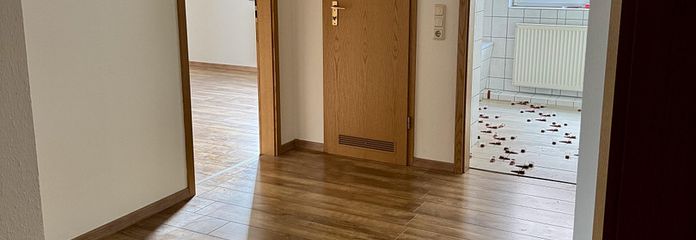 Flur aus Richtung Eingangstür