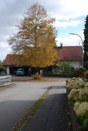 Flurstraße: Kleine Sackgasse