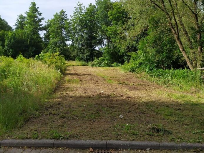 Ruhig gelegenes Baugrundstück in Steinau an der Straße - Südausrichtung an der Kinzig – Foto 1