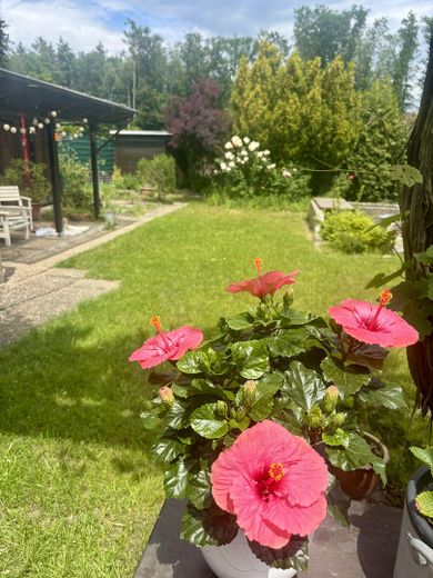 Traumhaftes Zweifamilienhaus mit Garten, Waldblick, Pool, Sauna & Mieteinnahmen – Gartenterasse mit Waldblick
