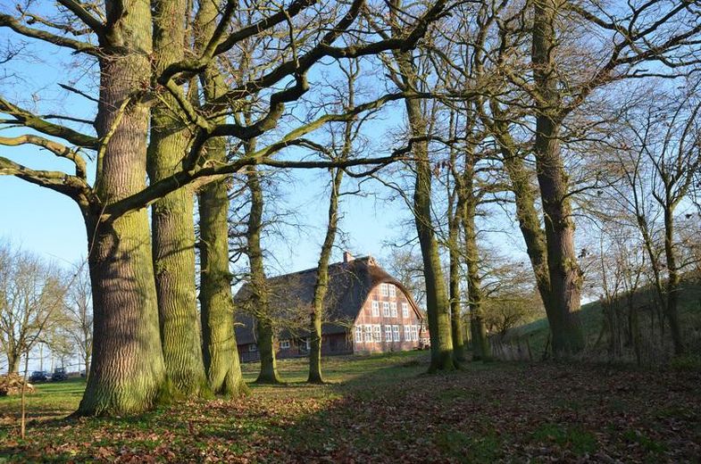 PROVISIONSFREI: Historisches Reetdach-Anwesen am Elbdeich – Denkmalgeschützt – Grundstück Herbst