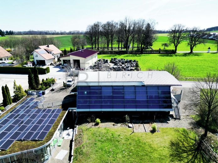 Modern. Flexibel. Repräsentativ. - Büro- und Gewerbefläche mit Weitblick – Gartenansicht