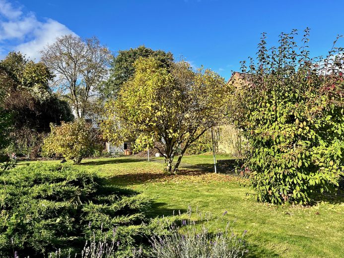 Ansicht Garten/Herbst