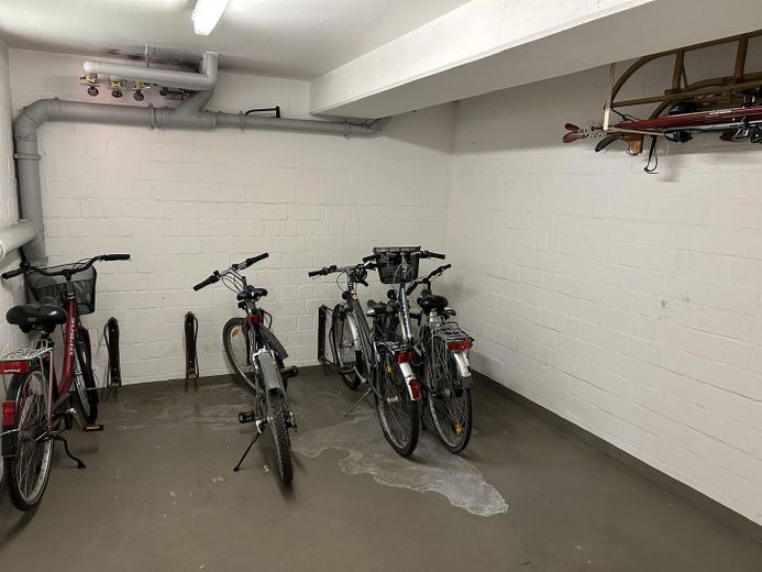 Penthouse tarzında tamamen yenilenmiş ve boş (kiralanmamış) – Fahrradkeller