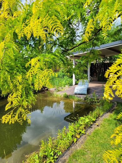 L(i)ebenswertes Haus, Grundstück mit Seele, vereinen zukunftsorientierte Technik mit Natur in Herten – Schwimmteich mit Terrasse