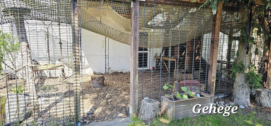 Tu sueño de tener un caballo en casa se hace realidad – Gehege