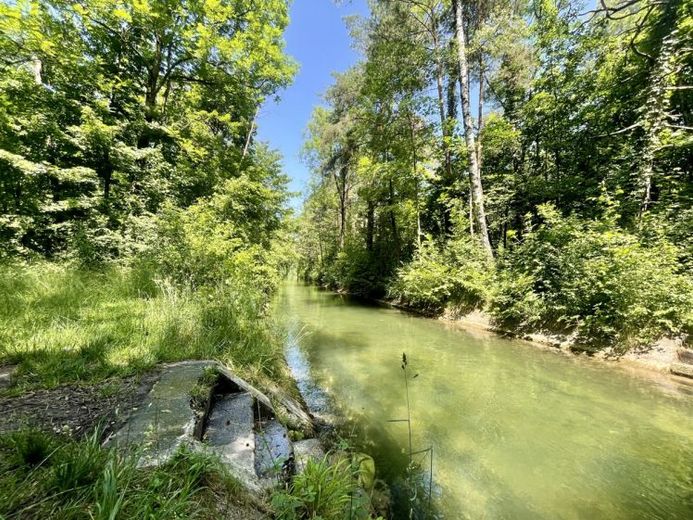 Urbanes Traumgrundstück am Siebentischwald – Foto 1
