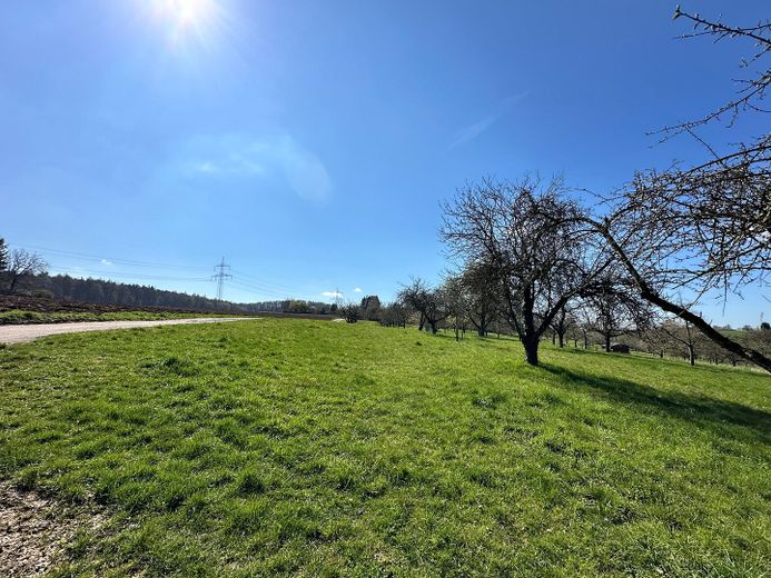 Casa bifamiliare senza provvigioni in posizione eccellente - periferia del paese, giardino, abitazione e eventualmente affitto – Feldrand Wohngebiet Südsicht
