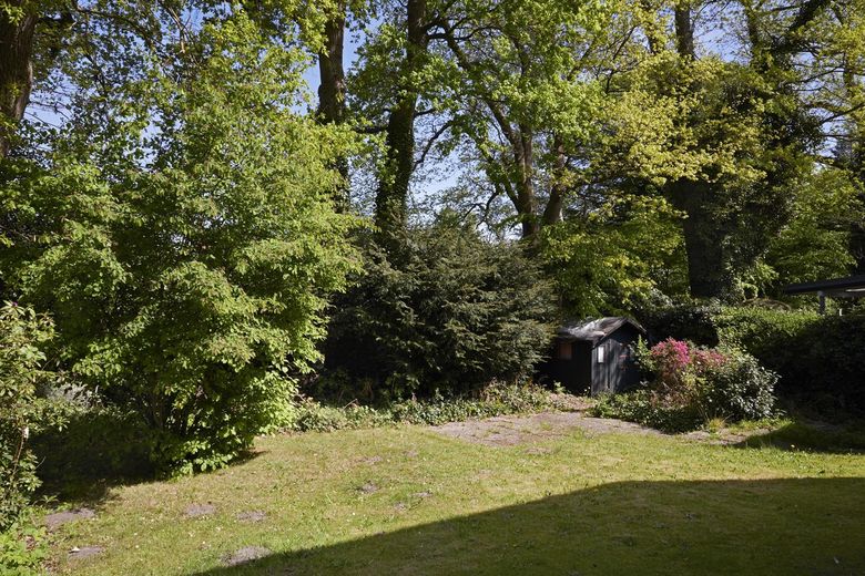 Architektenhaus in Hamburg Rissen – Hintergarten belaubt