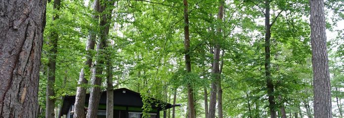 Ferienhaus - auch zum Dauerbewohnen oder zur Vermietung - in waldreicher Höhenlage – Hausansicht