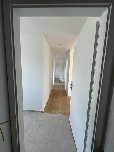 Kernsanierter Luxus (A+) mit 30m² Sonnen-Terrasse in Haslach – Flur