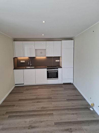 Erstbezug! Neue 2-Zimmer Wohnung in Rüdesheim mit Einbauküche & Terrasse – Foto 3