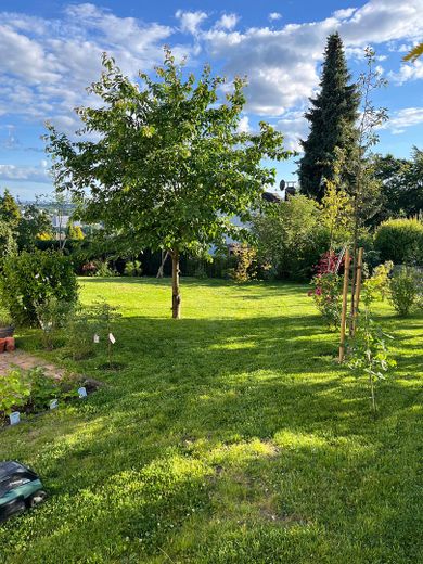 Blick von Garage nach Süden