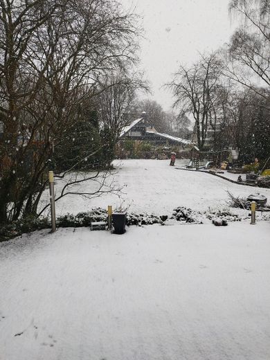...als Winterimpression