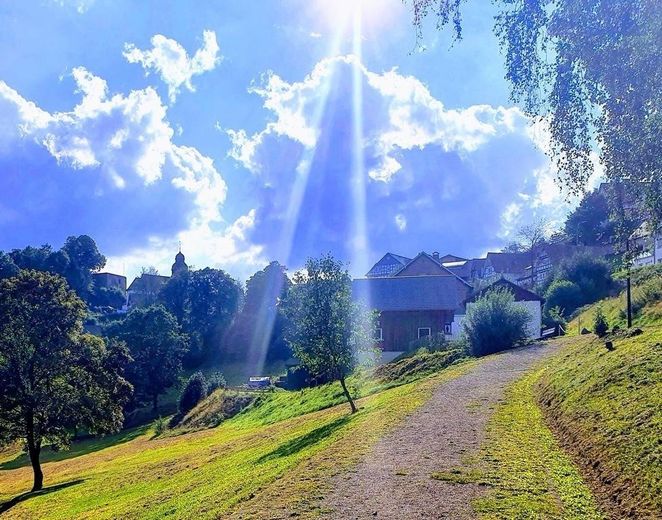 Der Kurpark hinter dem Komplex