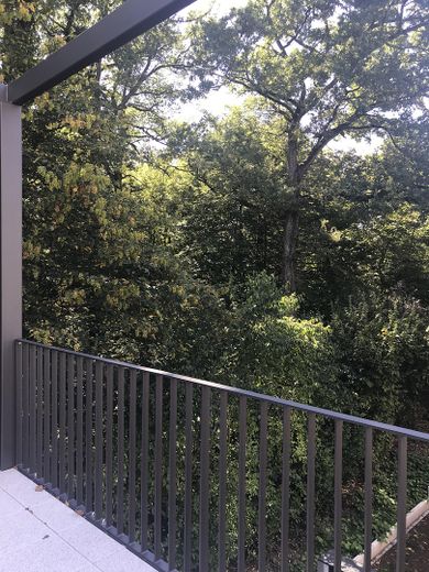 4 Zimmer Dreieich Buchschlag - Moderne Neubau-Wohnungen direkt am Wald – Balkon WHG süd
