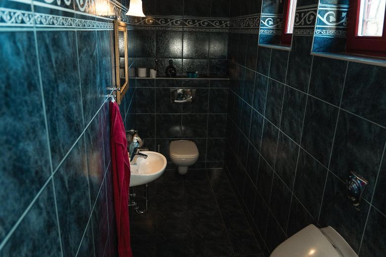 Landhaus unter Reet am See, Gästewohnung, Stallungen, Weiden und Wald. – Toilette