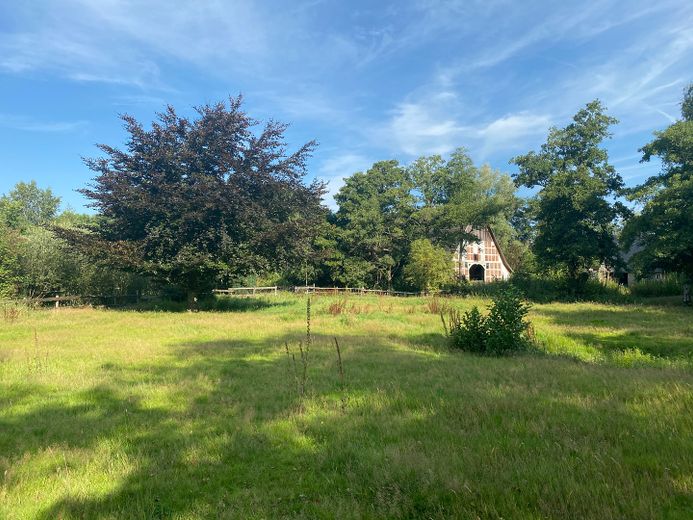 Traumgrundstück mit großem Resthof – Foto 2