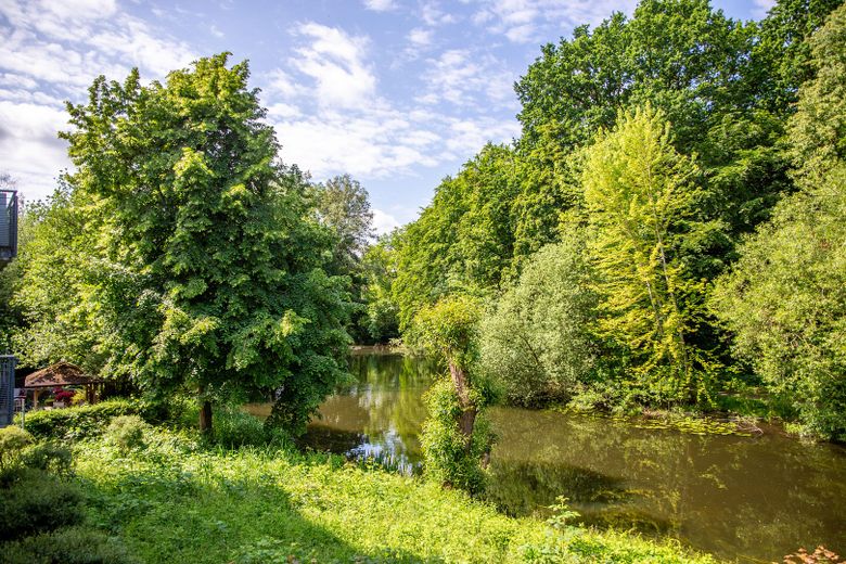 Blick zur Trave