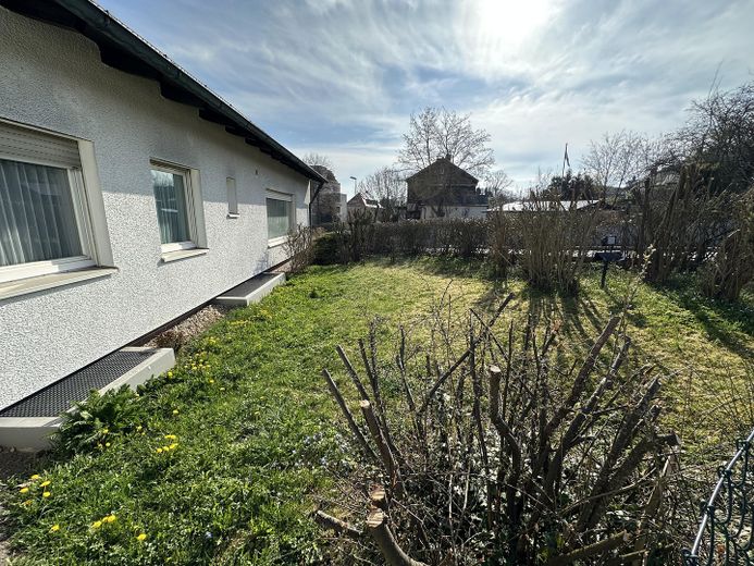 Garten 1