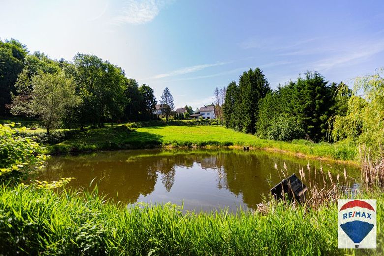 Schickes EFH mit großem Grundstück in Schwarzenbach am Wald – Bild 10