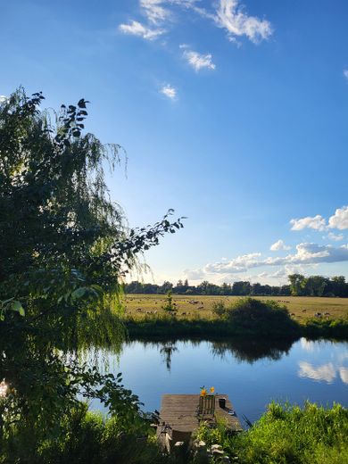 Exklusives Wassergrundstück mit 47 Metern privater Uferfront – Blick über die Spreewiesen