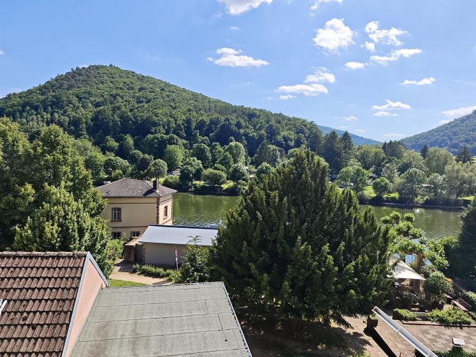 Traumhafter Neckarblick