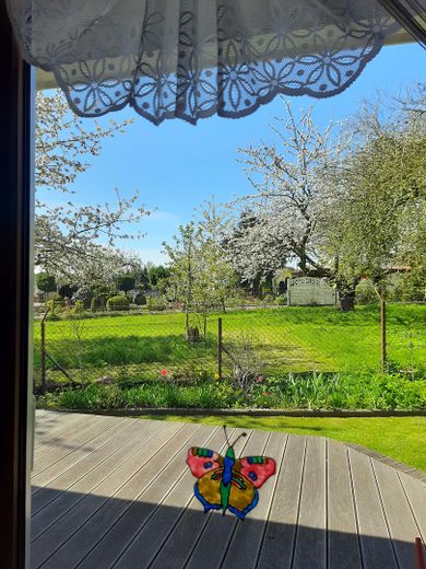 Skandinavisches Einfamilienhaus nahe dem Vogelpark und der Ostseeküste in M-V – unverbauter Blick ins Grüne