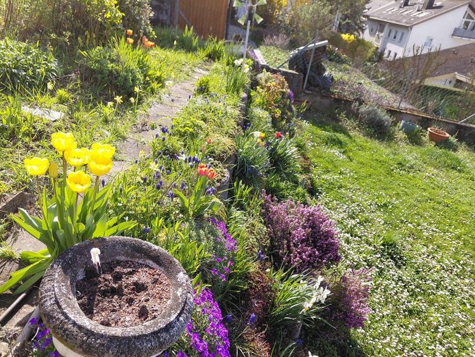Stadtnahe, idyllische Terassen/Gartenwohnung in ruhiger Weinberglage – Beete u. Rasenfläche