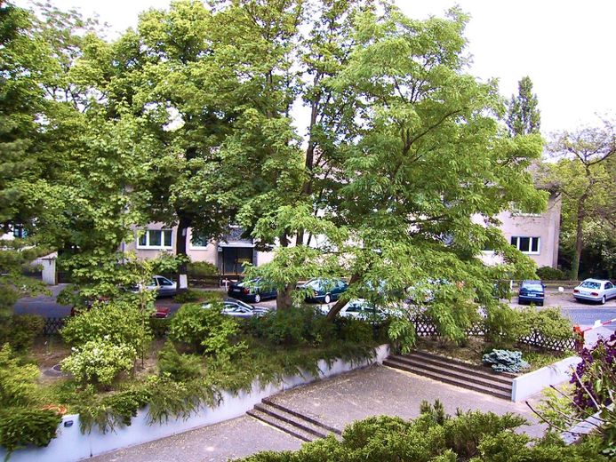 Charmante 1,5-Zimmer-Wohnung mit großer Terrasse in ruhiger Lage – Blick von der Terrasse