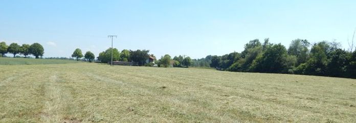 Landwirtschaftlicher Grund als Geldanlage - in 84529 Tittmoning/Südbayern, Nähe Leitgeringer See