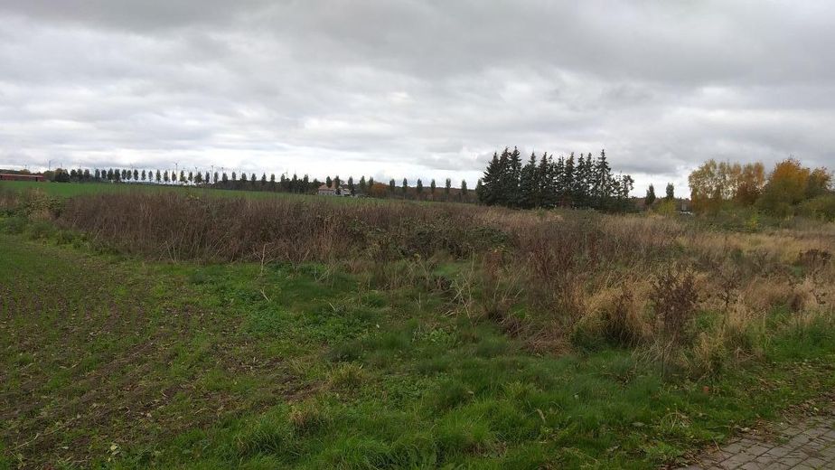 Wegen Auswanderung: 2.270m2 Bau-Grundstück bei Greifswald / Ostsee – 20241104_125648